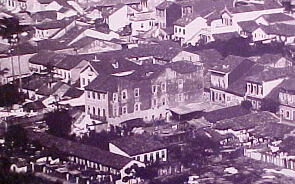 Cortico Cabeca de Porco 01