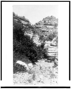 Cosniño Cañon LCCN94513998