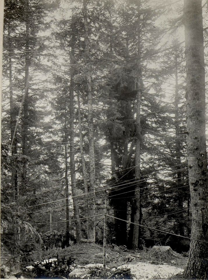 Cost'alta Hochstand. (BildID 15640037)