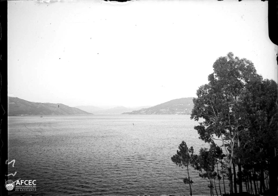 Costa de la Ría de Vigo amb uns arbres en primer terme