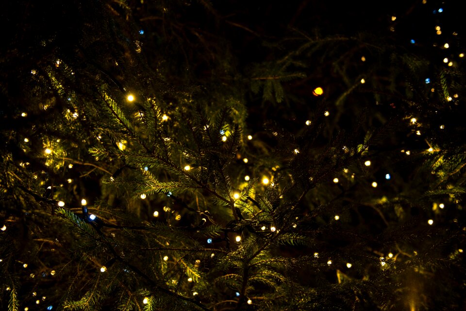 Tree decor black tree