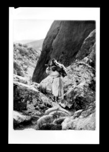 Costumes, characters, etc. Bring back the lost sheep LOC matpc.22614