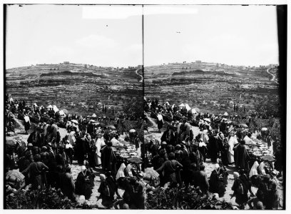 Costumes, characters, etc. Crowds at St. Stephen's Gate on Neby Mousa (i.e., Nebi Musa) feast LOC matpc.01215