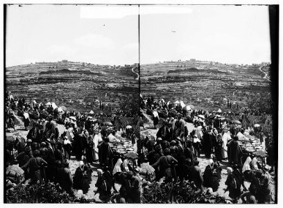 Costumes, characters, etc. Crowds at St. Stephen's Gate on Neby Mousa (i.e., Nebi Musa) feast LOC matpc.01215
