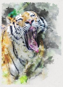 Animal wild wildlife
