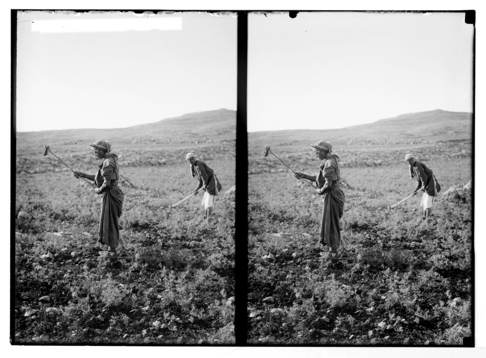 Costumes, characters, etc. Digging thorns out of field LOC matpc.05234