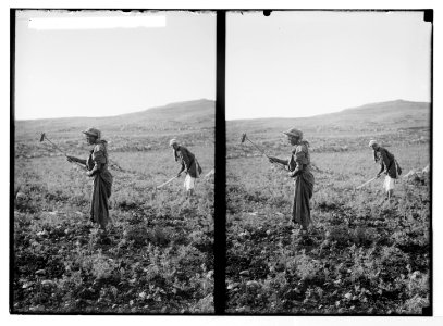 Costumes, characters, etc. Digging thorns out of field LOC matpc.05234