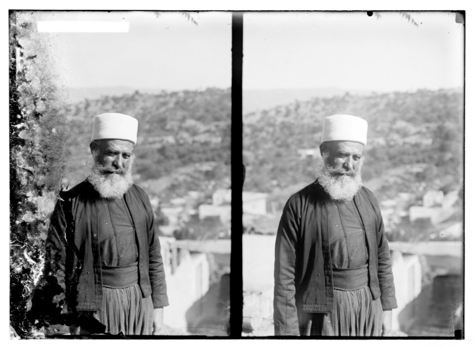 Costumes, characters, etc. Druse (i.e., Druze) sheikh LOC matpc.07581