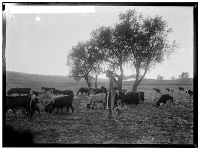 Costumes, characters, etc. Flock returning home LOC matpc.00708
