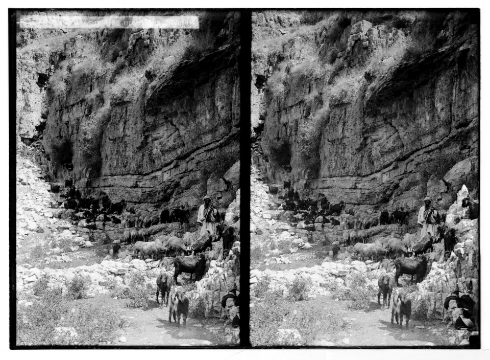 Costumes, characters, etc. Flocks 'resting under the shadow of a great rock' LOC matpc.05256