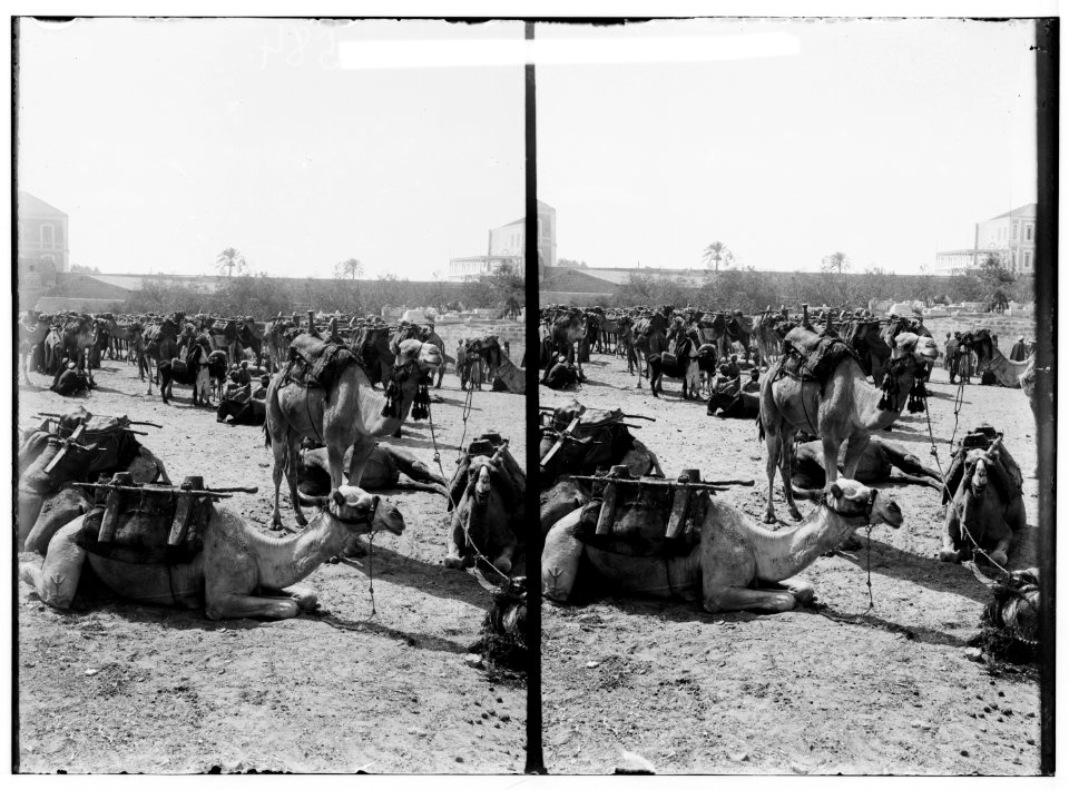 Costumes, characters, etc. Halt of camels LOC matpc.01278
