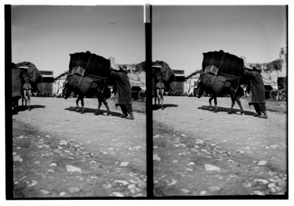 Costumes, characters, etc. Moharram, moving day LOC matpc.05265