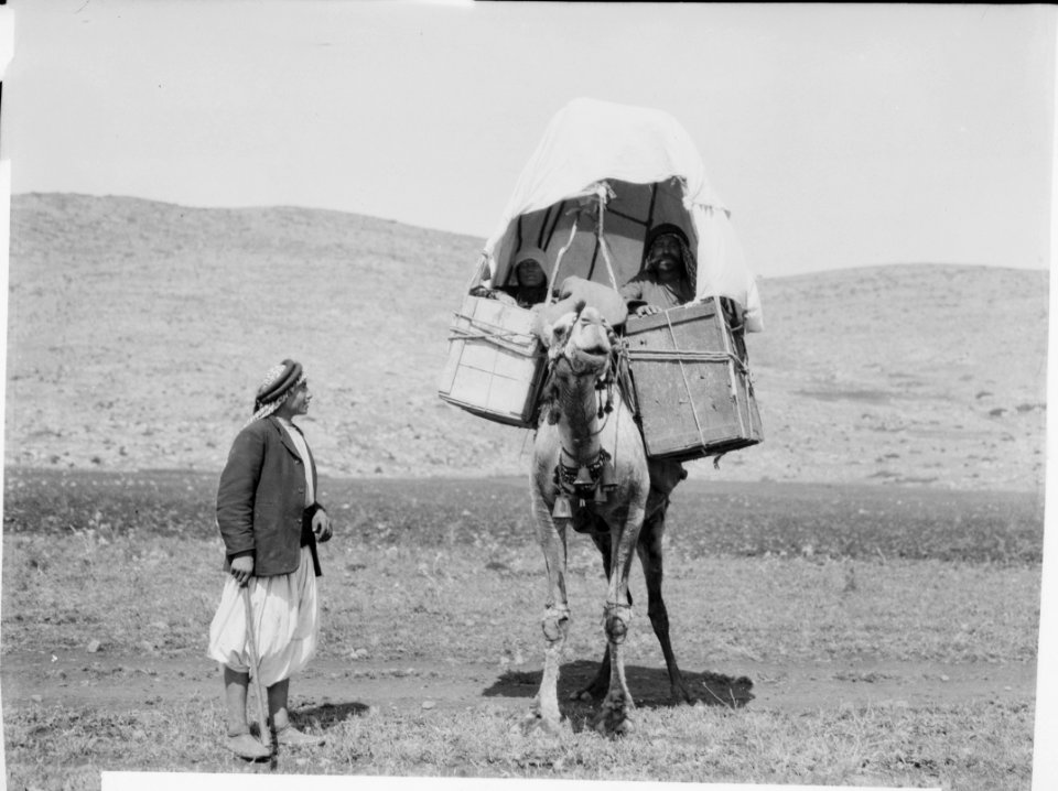 Costumes, characters, etc. Natives travelling on camel-back LOC matpc.00080