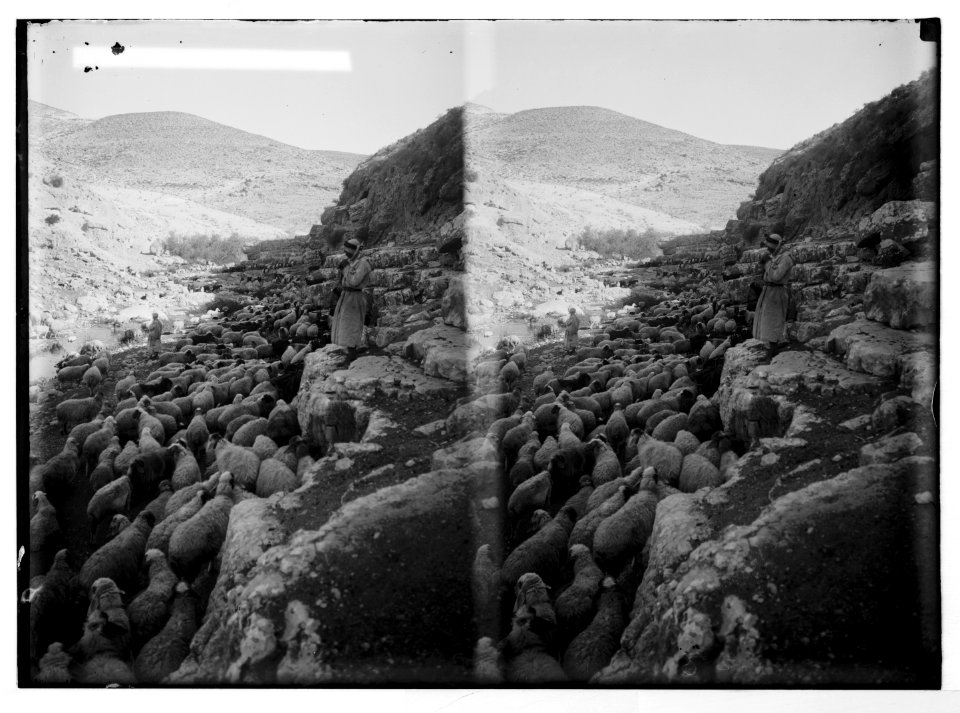 Costumes, characters, etc. Noon rest of the sheep LOC matpc.05632