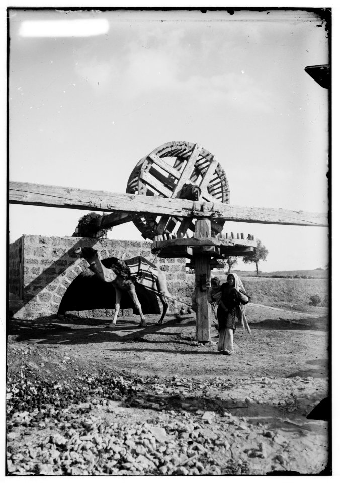 Costumes, characters, etc. Oriental irrigation wheel LOC matpc.00065