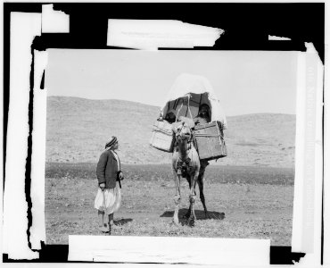 Costumes, characters, etc. Natives travelling on camel-back LOC matpc.00080