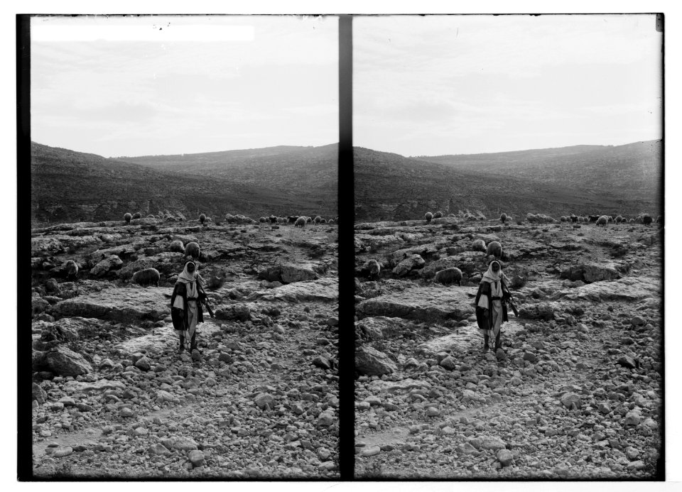 Costumes, characters, etc. Shepherd looking for pasture LOC matpc.05254