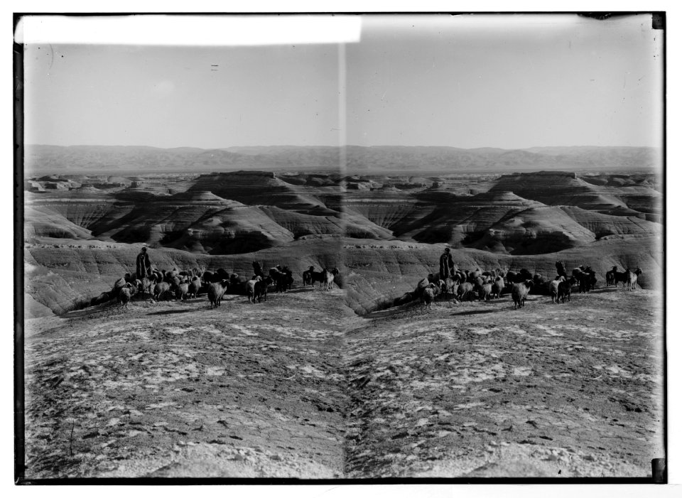 Costumes, characters, etc. Shepherd with flock in 'valley of shadow of death' LOC matpc.05260