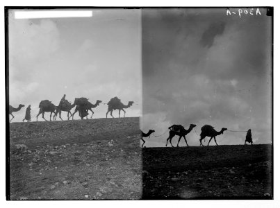 Costumes, characters, etc. Silhouette of a caravan; (Another view of a silhouette of a caravan) LOC matpc.05249