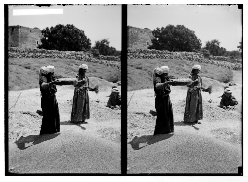 Costumes, characters, etc. Sifting wheat LOC matpc.05241