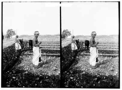 Costumes, characters, etc. Sowing LOC matpc.01228
