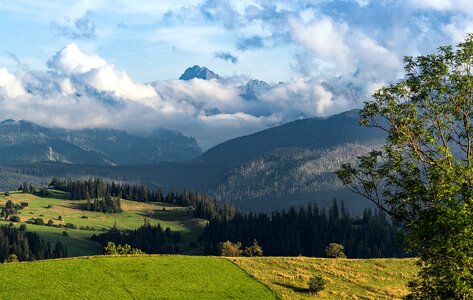 Landscape sky green