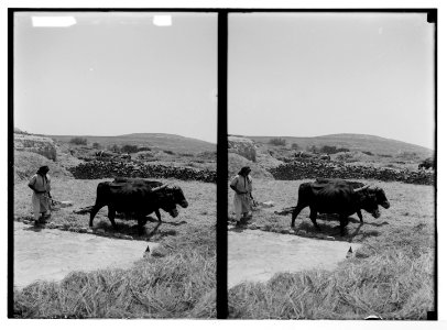 Costumes, characters, etc. Threshing with 'instrument' LOC matpc.05238