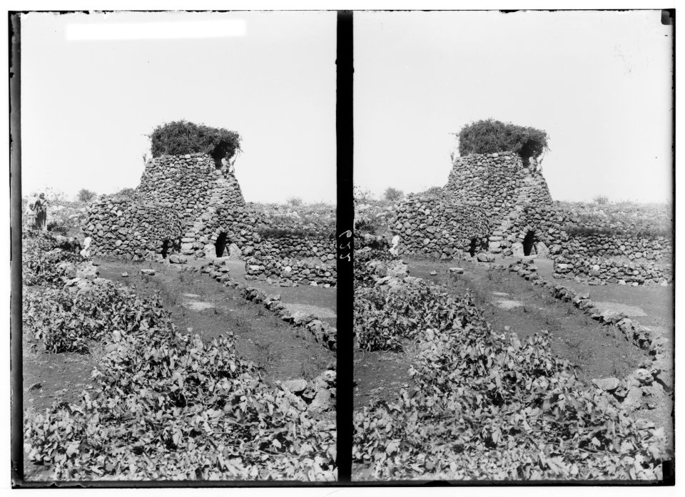 Costumes, characters, etc. Watch tower in vineyard LOC matpc.01312