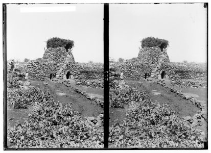 Costumes, characters, etc. Watch tower in vineyard LOC matpc.01312
