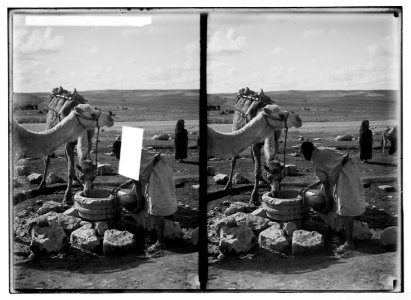 Costumes, characters, etc. Watering camels LOC matpc.05637
