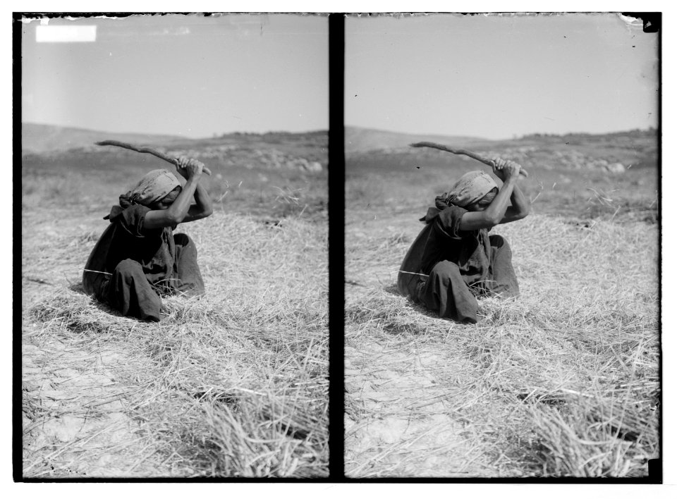 Costumes, characters, etc. Woman threshing with flail LOC matpc.05239
