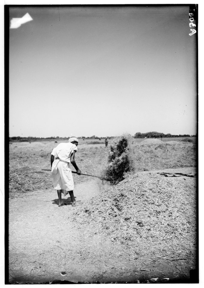 Costumes, characters, etc. Winnowing LOC matpc.00695