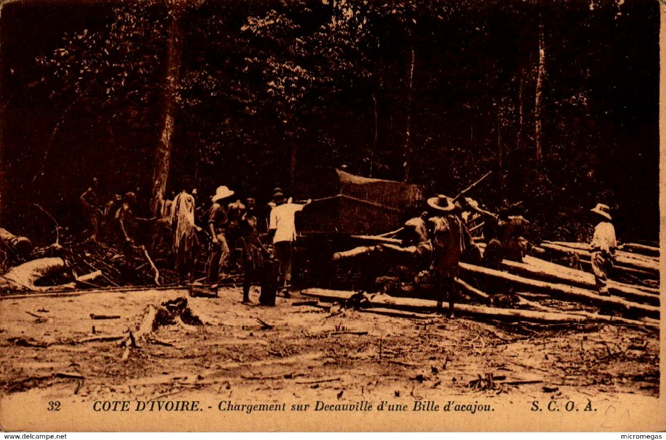 Cote d'Ivoire - Chargement sur Decauville d'une Bille d'cajou - S.C.O.A