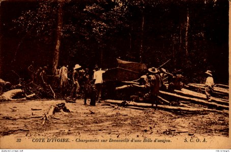 Cote d'Ivoire - Chargement sur Decauville d'une Bille d'cajou - S.C.O.A