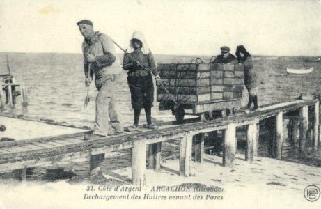 Cote d'Argent - Arachon (Gironde) - Déchargement des huitres venant des Parcs