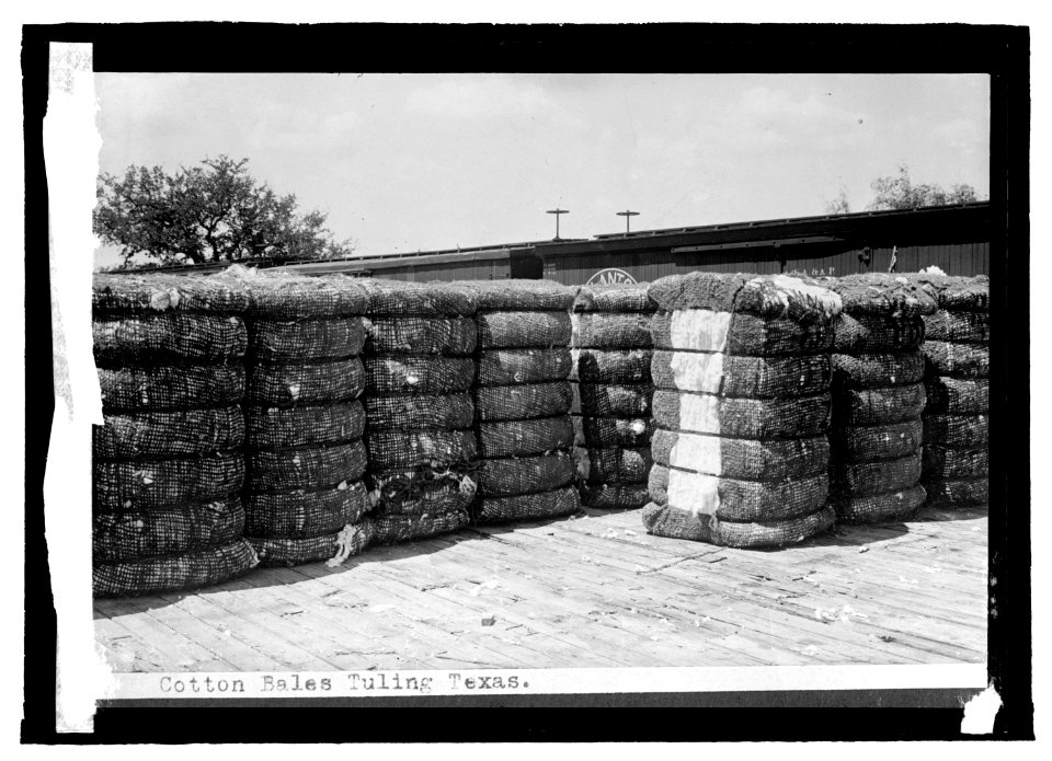 Cotton bales LCCN2016821721