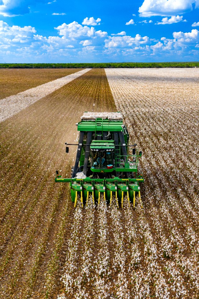 Cotton harvester in Batesville, Texas field - front view portrait