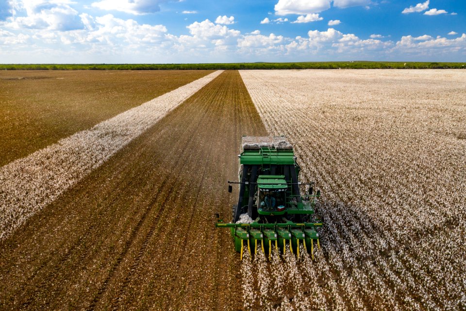 Cotton harvester in Batesville, Texas field - front view landscape