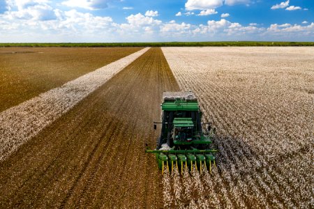Cotton harvester in Batesville, Texas field - front view landscape