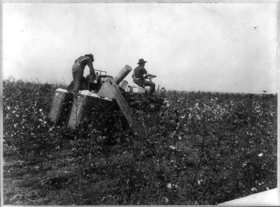 Cotton picking machine in Texas LCCN2012648382