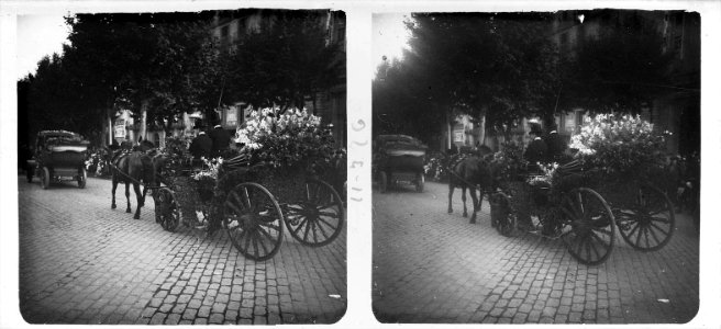 Cotxe de cavalls participant a la festa floral del Passeig de Gràcia