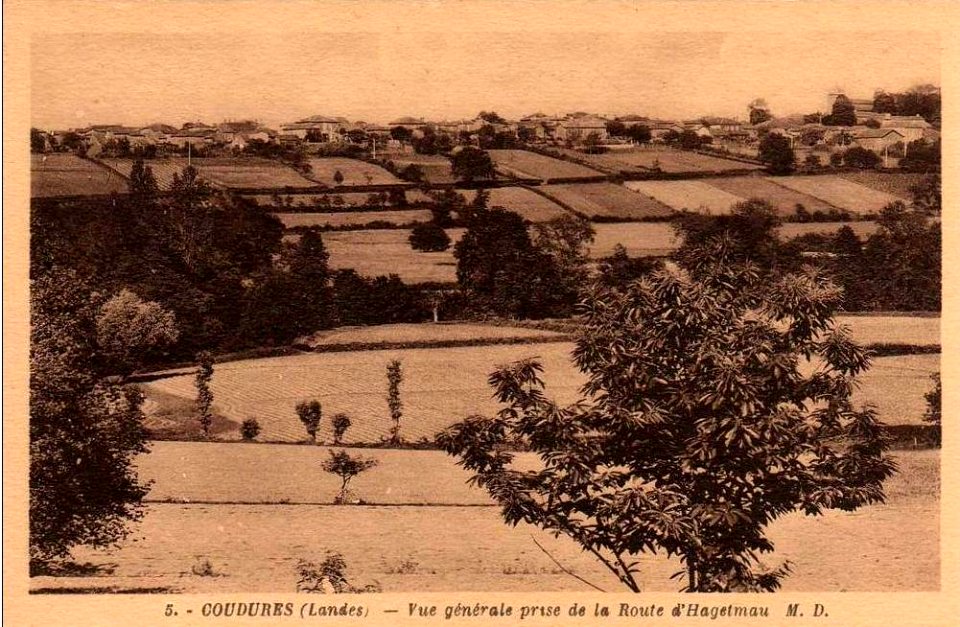 Coudures (Landes) - vue panoramique 1