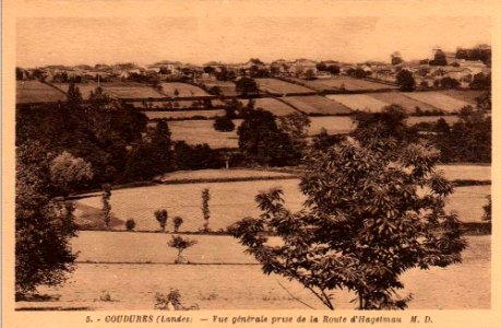 Coudures (Landes) - vue panoramique 1