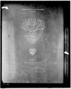 Council of National Defense- Insignia for Volunteer Medical Service Corps LOC hec.13981