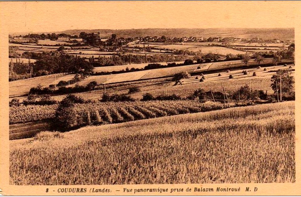 Coudures (Landes) - vue panoramique 2