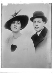 Count & Countess Armfelt LCCN2014701251