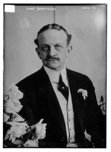 Count Bernstorff LCCN2014703787