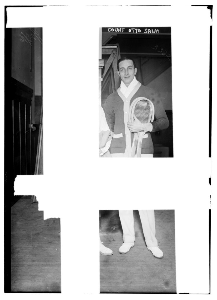 Count Otto Salm LCCN2014698447