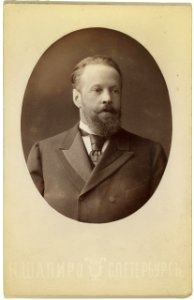 Count Serge Vitte, half-length portrait, facing right LCCN99615675