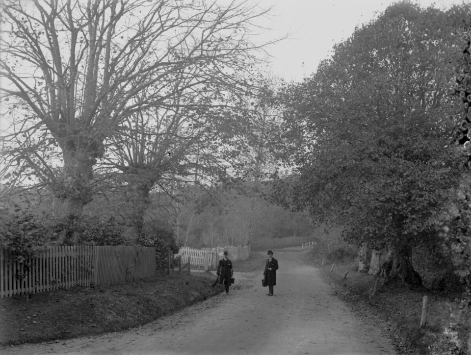 Country road (4641344)